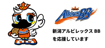 新潟アルビレックスBB